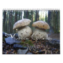 Search for 2010 calender calendars Outdoors