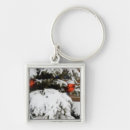 Search for alberta key rings National park