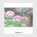 Search for nectar stickers Birds