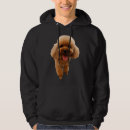 Search for poodle hoodies Puppy