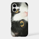 Search for black cats iphone cases Kitty