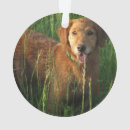 Search for pup christmas tree decorations Retriever