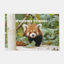 Search for red panda gifts Endangered
