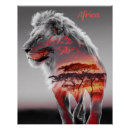 Search for african lion posters Sunset