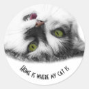 Search for cat breed stickers Animal