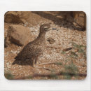 Search for bushes mousepads Bird