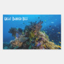 Search for reef stickers Ocean