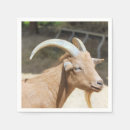 Search for goats napkins Farming