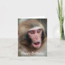 Search for macaques cards Monkeys