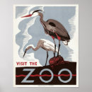 Search for zoo bird art Birds