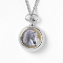 Search for arabian horse accessories Pony