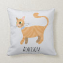 Search for tabby cat cushions kitten
