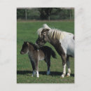 Search for miniatures postcards Standing