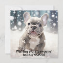Search for frenchie christmas cards Puppy