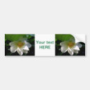 Search for botany bumper stickers Plant