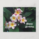 Search for frangipani birthday cards invites Floral
