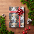 Search for enchanted wrapping paper White