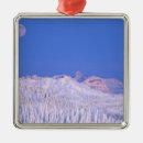 Search for frost christmas tree decorations Forest