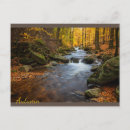 Search for autumn forest postcards Beautiful