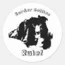 Search for border collie stickers Animal