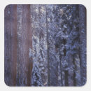 Search for sequoia stickers Nature