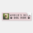 Search for cute pink bumper stickers Puppy