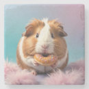 Search for pig coasters Pet