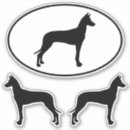 Search for pharaoh Pharaoh hound