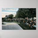 Search for perfect rose postcards States