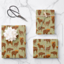 Search for rams wrapping paper Sheep