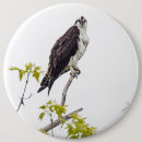Search for staring badges Wildlife