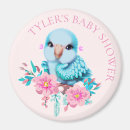 Search for shower blue magnets Gender reveal