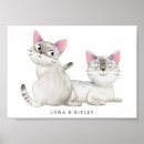 Search for siamese cats posters Kitty