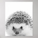 Search for hedgehog posters Wall
