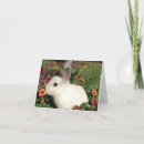 Search for bunny mom cards Rabbits