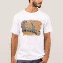Search for ring tailed tshirts Wildlife