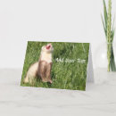 Search for pet ferret cards Cute