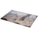 Search for birch tree photography Bark