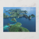 Search for raja postcards Jaynes gallery