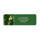 Search for yellow bird return address labels Songbird