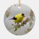 Search for gardening christmas tree decorations Country