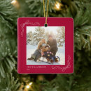 Search for top of the line christmas tree decorations Family