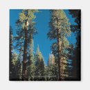 Search for sequoia national park magnets Usa