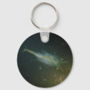 Search for shrimps key rings Crustacean