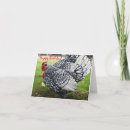 Search for rooster birthday Cute