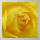 Search for yellow sunshine posters Sunny