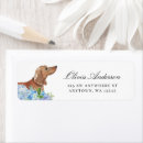 Search for dachshund return address labels Watercolor