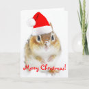 Search for chipmunk christmas cards Snow