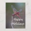 Search for insect christmas cards Animal