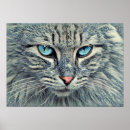 Search for tabby posters Fluffy